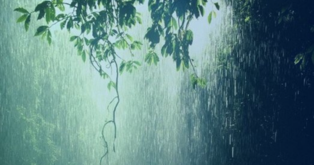 rain-kerala